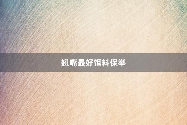 翘嘴最好饵料保举